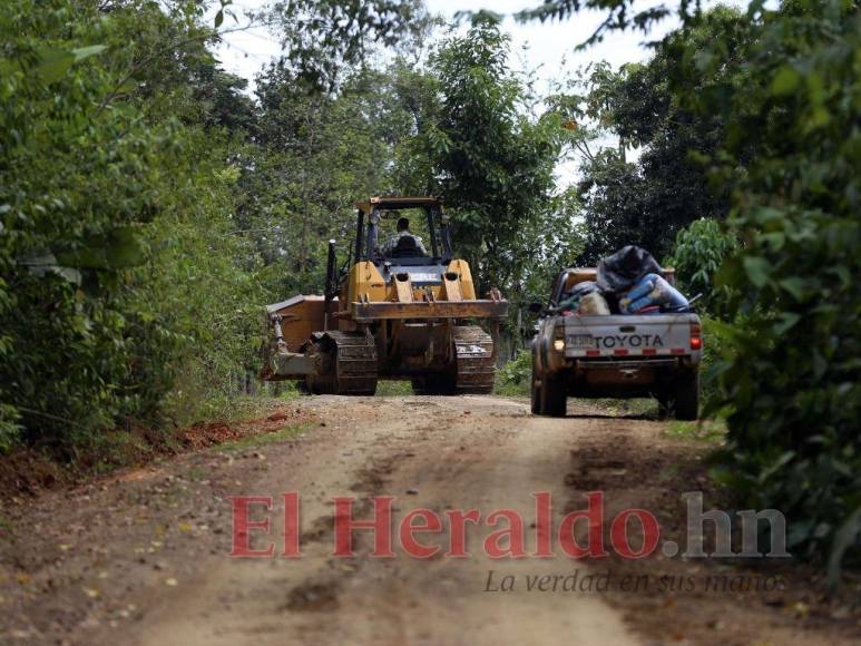 Destrucción, amenazas, ranchos y ganado: Así se maneja la tierra en la Biósfera del Río Platano