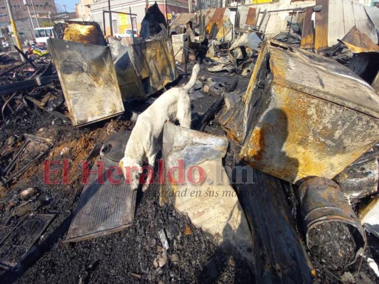 Mercado de la primera avenida quedó hecho cenizas tras incendio (Fotos)