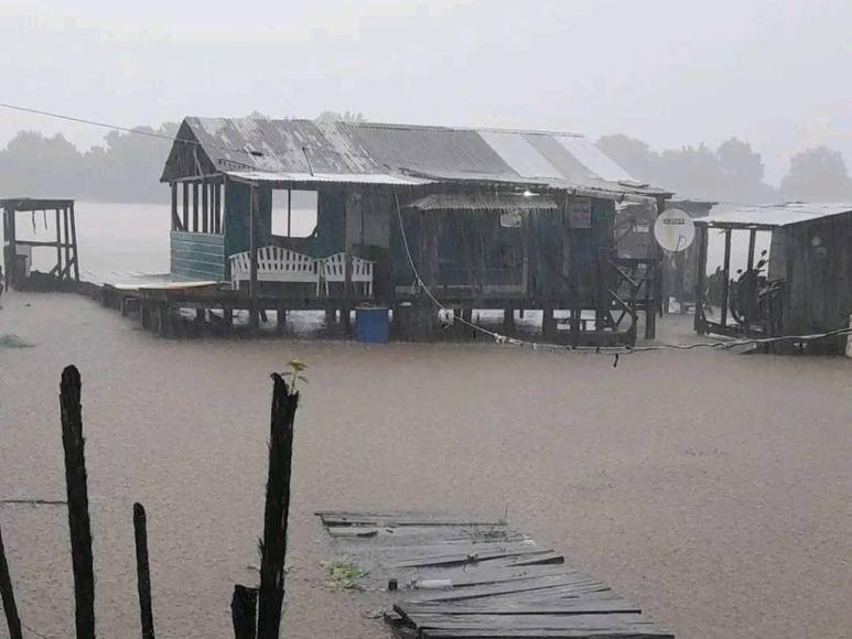 Fotos: Varias comunidades de Gracias a Dios quedaron totalmente inundadas por la tormenta Julia