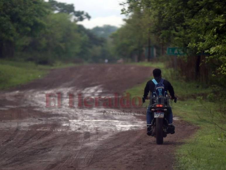 Fronteras desprotegidas y miedo: pandilleros salvadoreños viven a sus anchas en Honduras