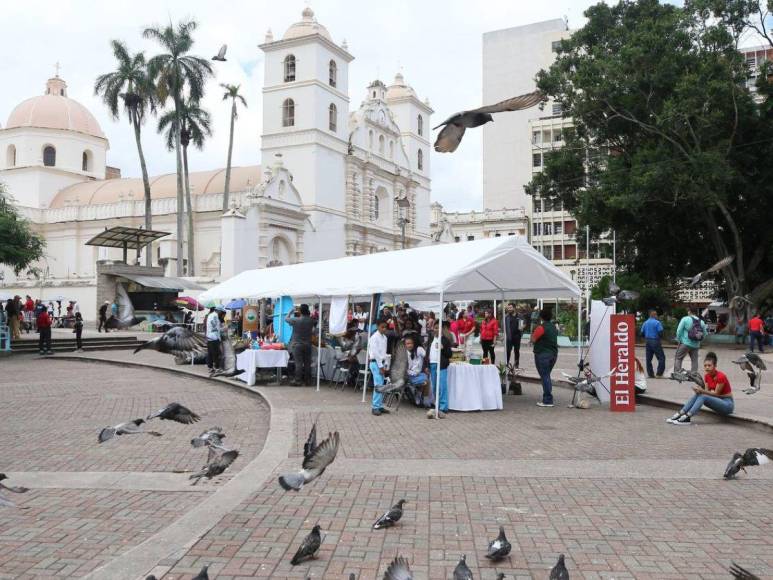 Creatividad y conciencia ambiental: así se desarrolla la Feria de Reciclaje de Escuelas Amigables con el Ambiente