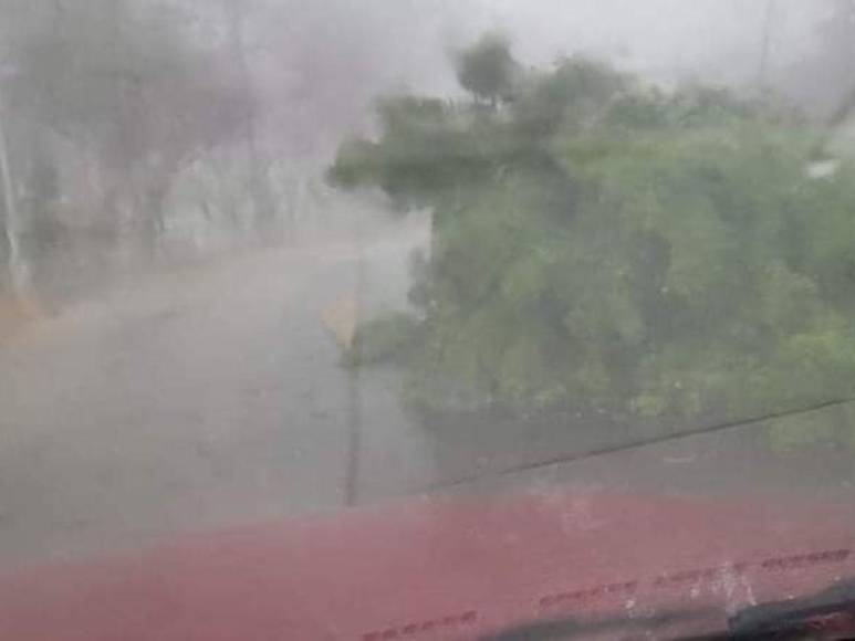 Fuertes daños luego de tormenta con granizo en Nueva Arcadia, Copán