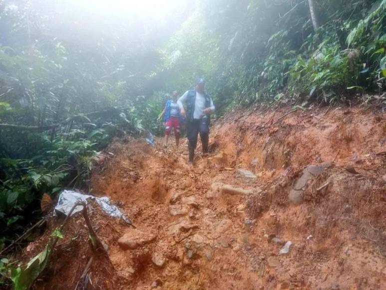 La selva del Darién: mafias, violencia sexual y animales, los peligros del conocido “tapón” de los migrantes