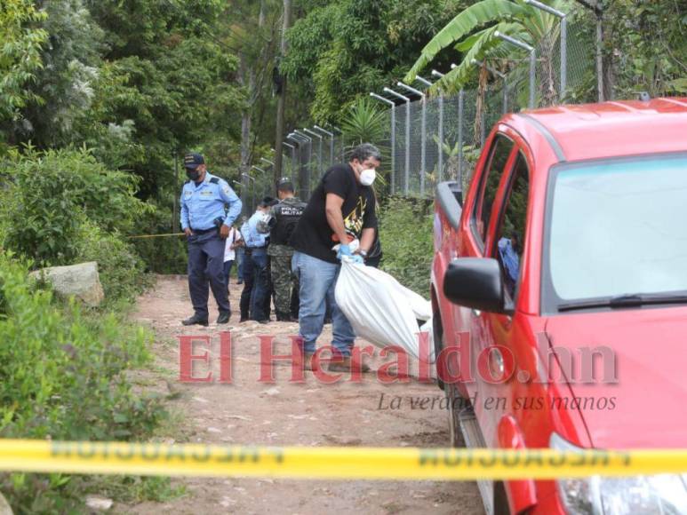 Así fue el mortal ataque de perros que acabó con la vida de un hombre en El Sauce, Valle de Ángeles