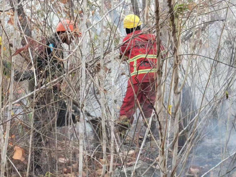 Fotos del incendio en La Tigra: El escenario devastador en el pulmón de la capital