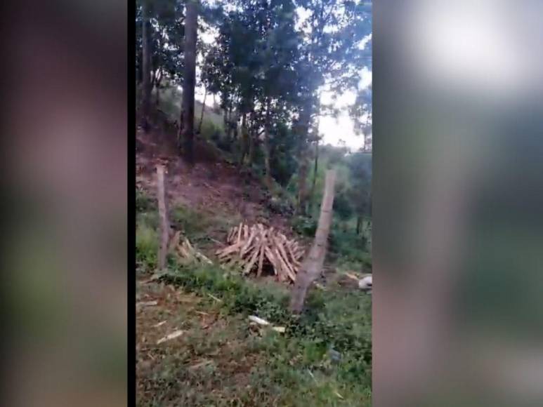 Los asesinaron por problemas de tierra: lo que se sabe de la masacre de padre y tres hijos en Yamaranguila, Intibucá