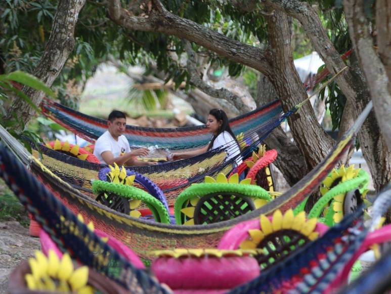 Adrenalina y ambiente familiar: así es la increíble experiencia al visitar el Laberinto de Cipreses en Comayagua