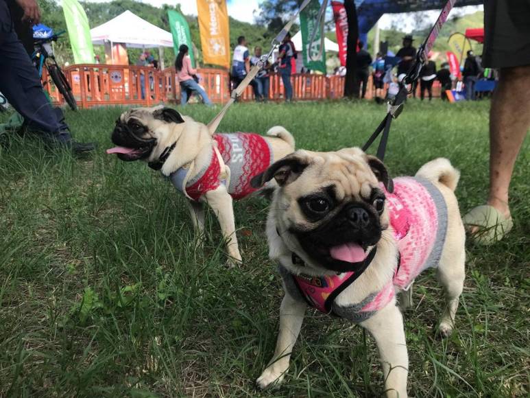 Las mascotas también formaron parte de la Vuelta Ciclística 2023