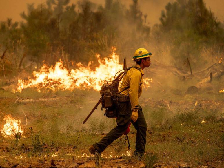 Imágenes del incendio catastrófico que arrasa el norte de California, EUA