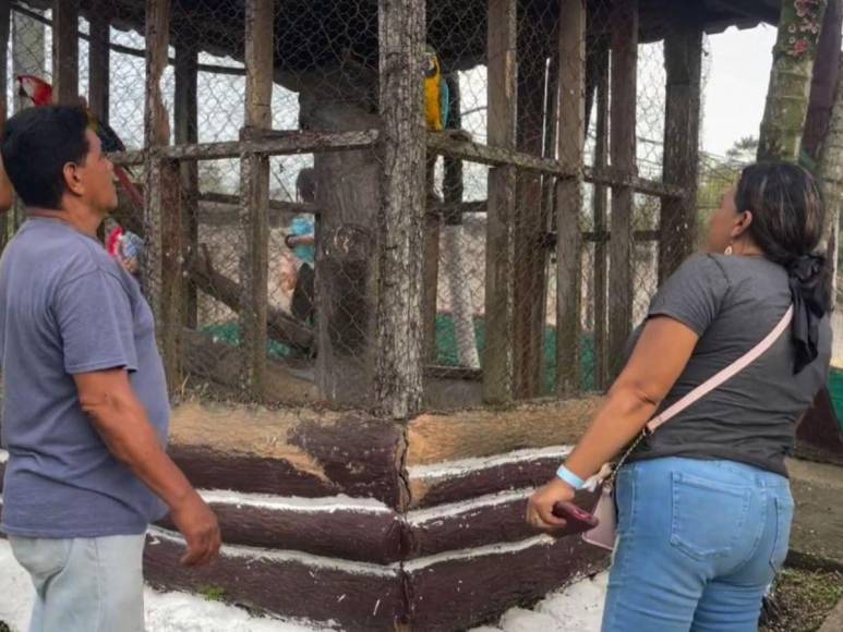 Tras controvertido cierre, Zoológico Joya Grande reabre sus puertas