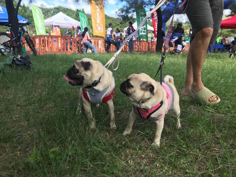 Las mascotas también formaron parte de la Vuelta Ciclística 2023