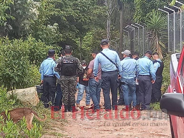 Así fue el mortal ataque de perros que acabó con la vida de un hombre en El Sauce, Valle de Ángeles