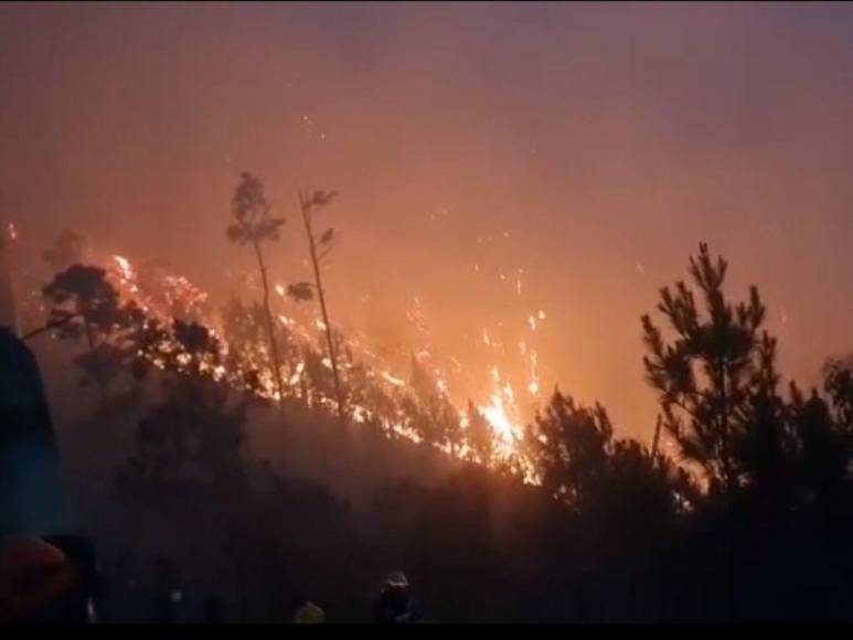 Impactantes imágenes del incendio forestal que se reactivó en cerro El Trigo