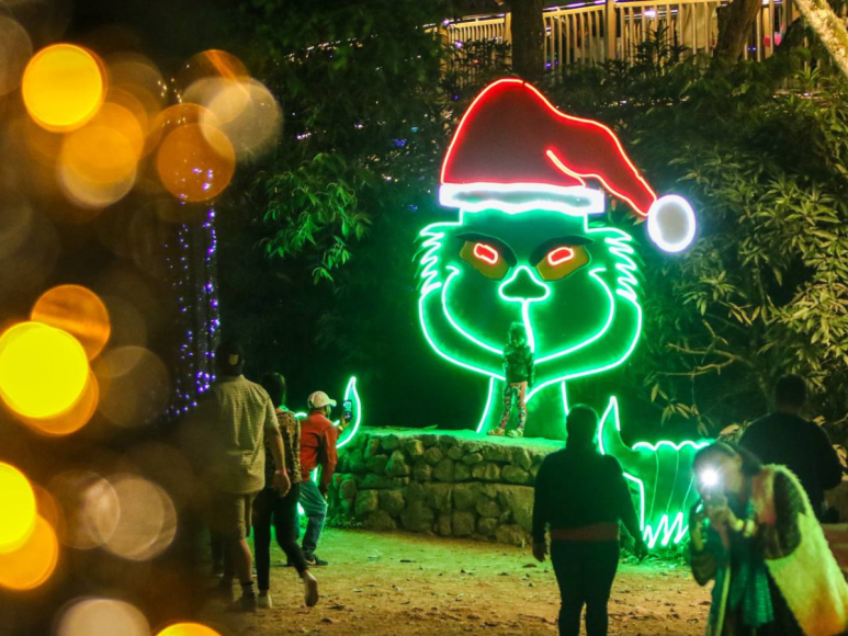 Luces navideñas adornan las noches en El Picacho