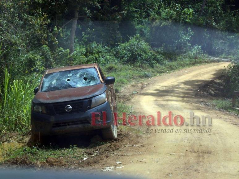 Biósfera del Río Plátano: 100 kilómetros de una carretera ilegal que amenaza un pulmón mundial