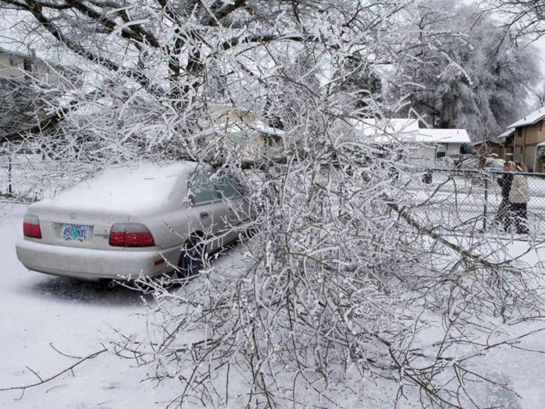 Las imágenes que dejan las tormentas de nieve que azotan Estados Unidos este fin de semana