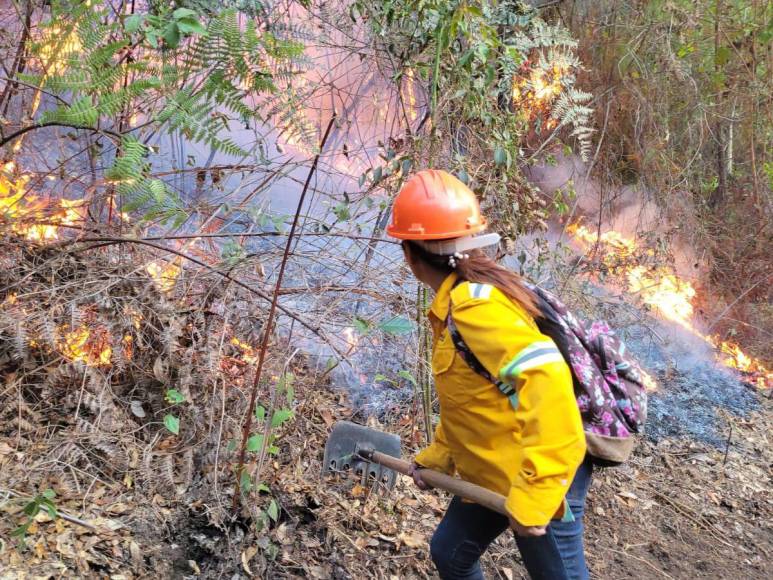 Las impactantes imágenes del incendio forestal que arrasó con todo a su paso en cerro El Trigo