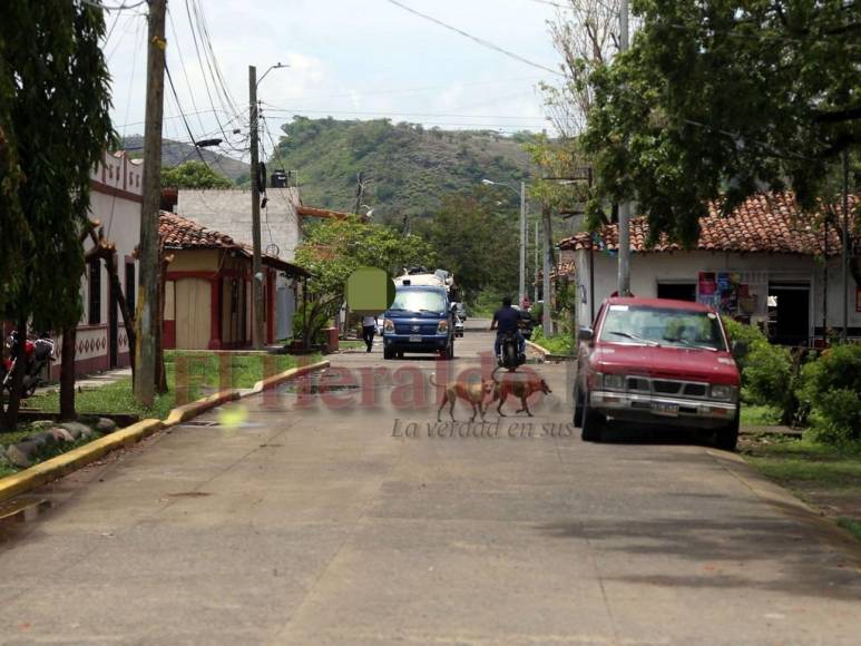 Fronteras desprotegidas y miedo: pandilleros salvadoreños viven a sus anchas en Honduras