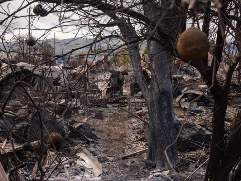 El misterio detrás la casa de techo rojo que sobrevivió a los incendios en Hawái