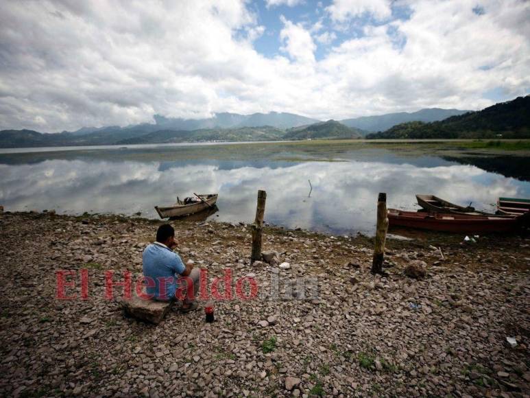 Heces, metales pesados y agroquímicos matan lentamente el Lago de Yojoa (FOTOS)