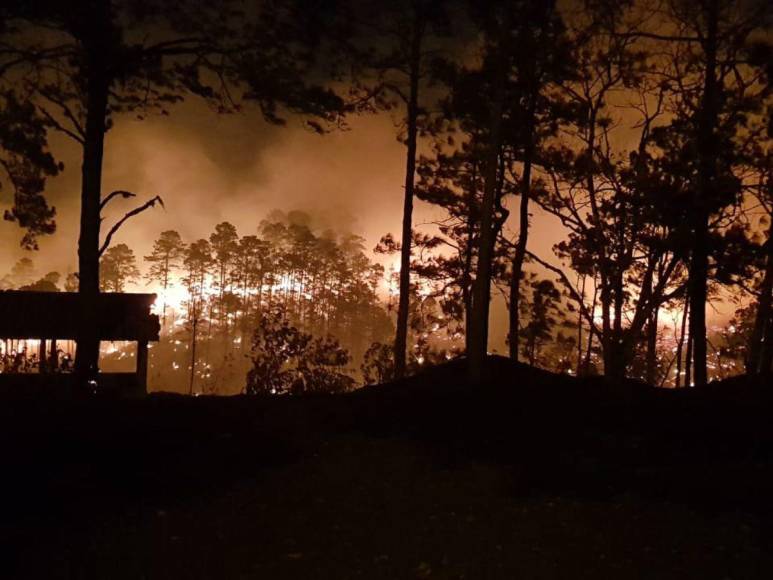 Las impactantes imágenes del incendio forestal que arrasó con todo a su paso en cerro El Trigo