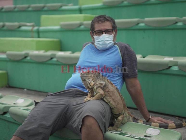 Así celebraron los jugadores de Honduras la clasificación a cuartos de final del Premundial (FOTOS)