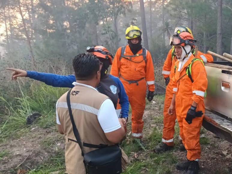 Las impactantes imágenes del incendio forestal que arrasó con todo a su paso en cerro El Trigo