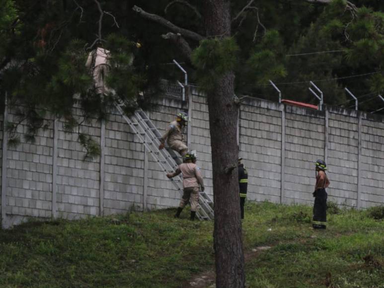 Primeras imágenes de la reyerta mortal en Cefas