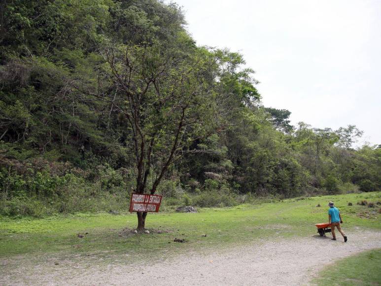 Las imágenes que muestran la deforestación e invasiones que amenazan al Lago de Yojoa