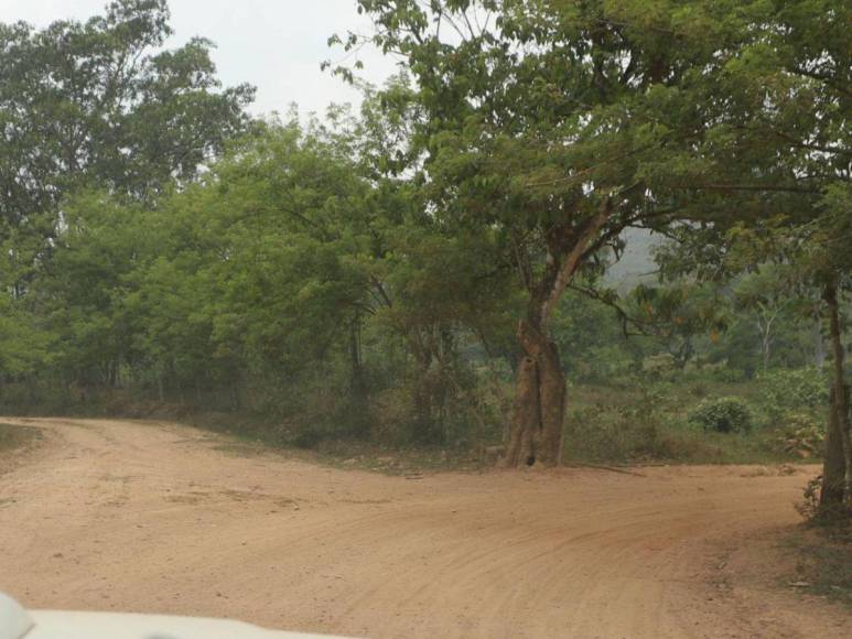 Ocupación de tierras, narcocarreteras y deforestación: conflicto en el río Plátano