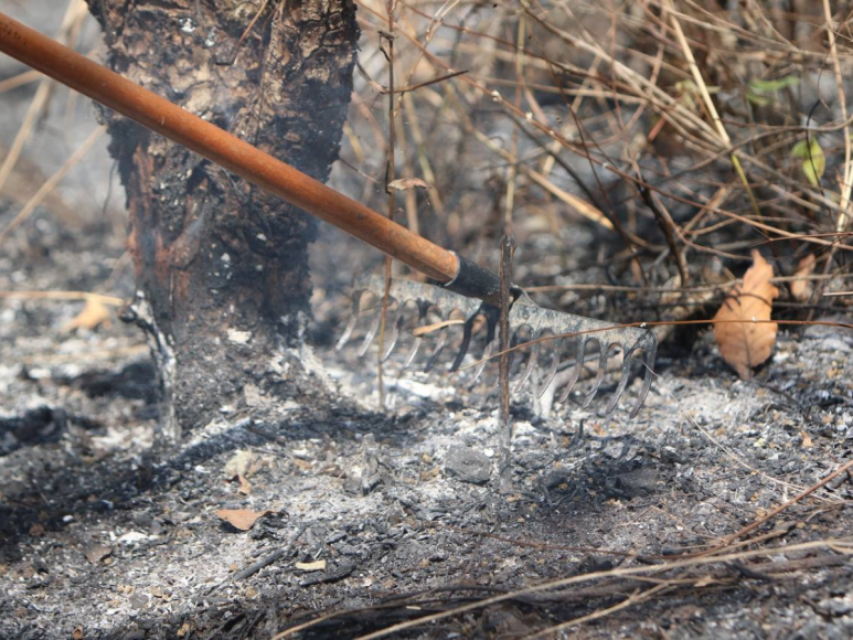 Fotos del incendio en La Tigra: El escenario devastador en el pulmón de la capital