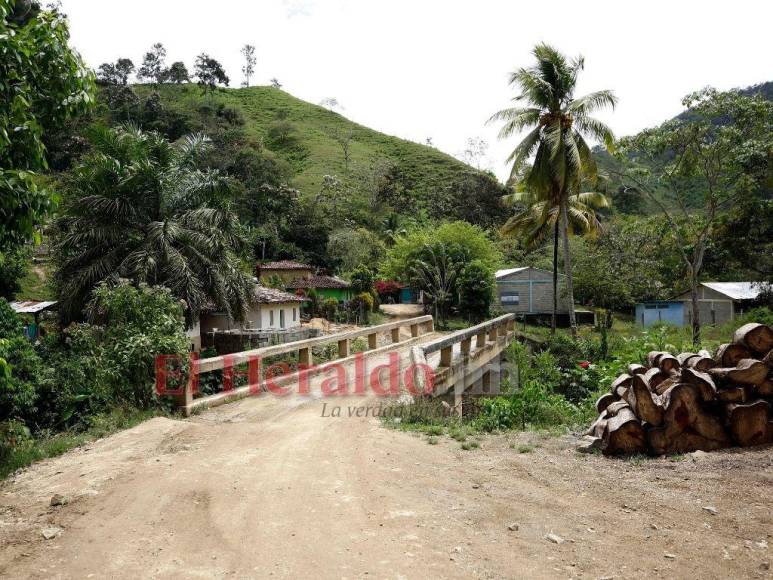 Biósfera del Río Plátano: 100 kilómetros de una carretera ilegal que amenaza un pulmón mundial