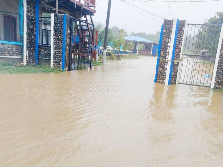 Ríos desbordados e inundaciones: Daños por fuertes lluvias en Atlántida