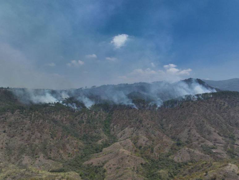 En imágenes: así luce la capital luego del pavoroso incendio forestal que estremeció el cerro El Trigo