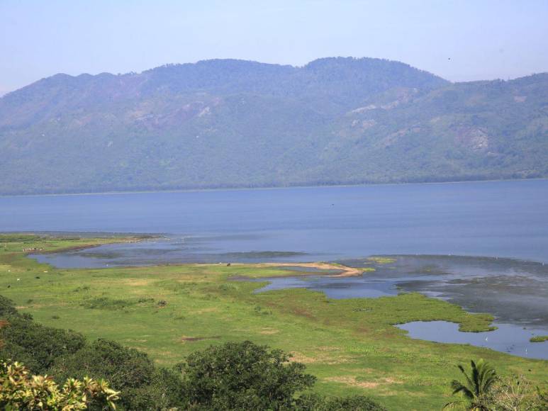 Las imágenes que muestran la deforestación e invasiones que amenazan al Lago de Yojoa