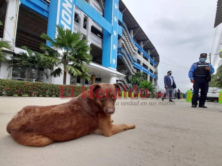 Caninos, Olímpico vacío y futbolistas listos: imágenes de la previa Honduras vs. México