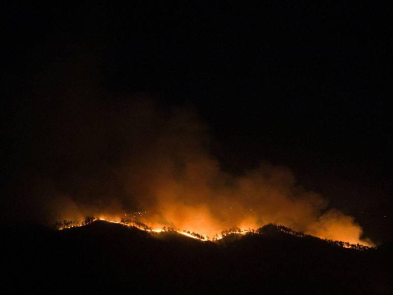 Las impactantes imágenes del incendio forestal que arrasó con todo a su paso en cerro El Trigo