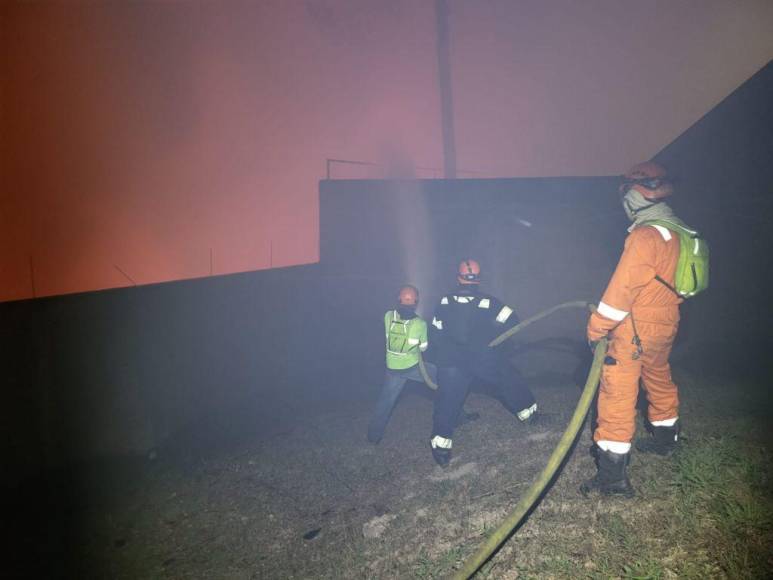 Impactantes imágenes del incendio forestal que se reactivó en cerro El Trigo