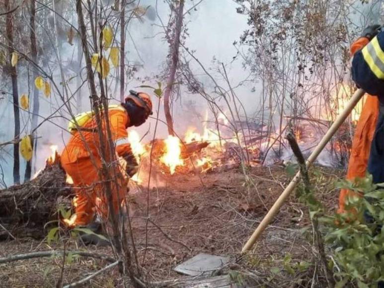 Impactantes imágenes del incendio forestal que se reactivó en cerro El Trigo