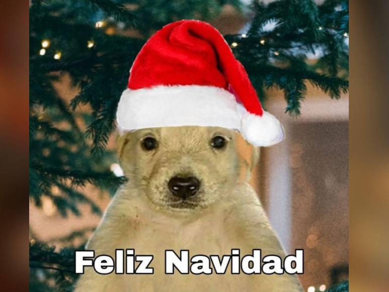 Los memes más divertidos sobre Navidad 2023