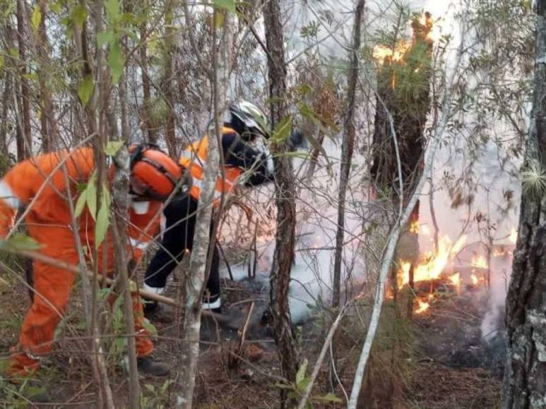 Impactantes imágenes del incendio forestal que se reactivó en cerro El Trigo