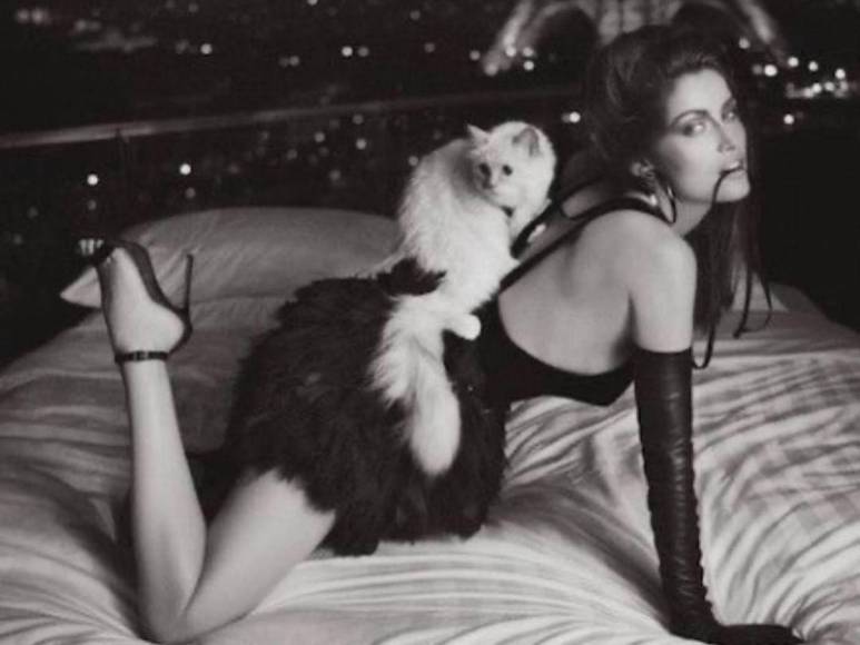 ¿Quién es Choupette, la gata de Karl Lagerfield que fue protagonista de la Met Gala?