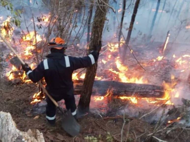 Impactantes imágenes del incendio forestal que se reactivó en cerro El Trigo