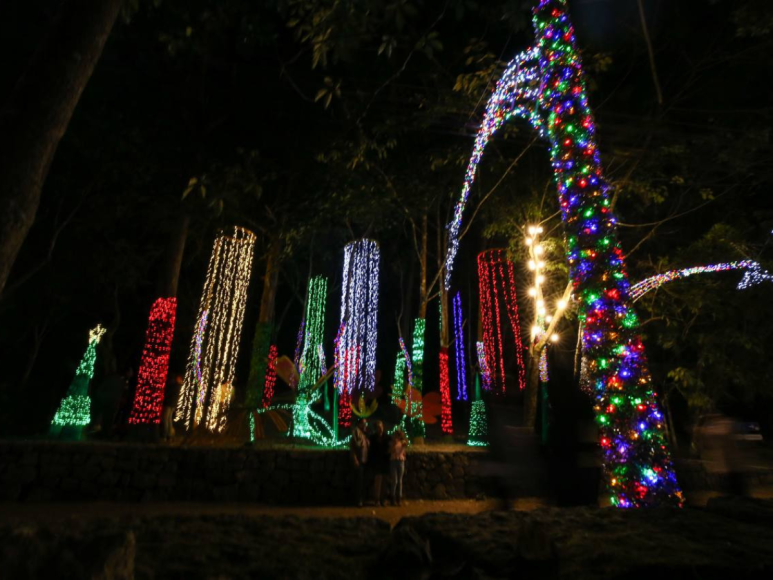 Luces navideñas adornan las noches en El Picacho