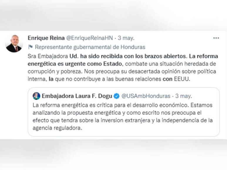 Los encontronazos entre el canciller Reina y la embajadora Laura Dogu