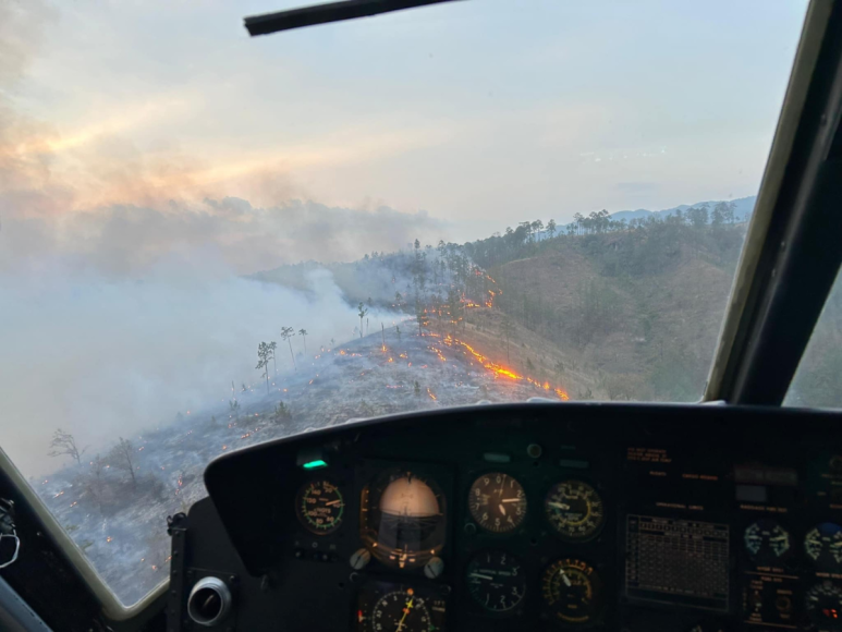 Fotos del incendio en La Tigra: El escenario devastador en el pulmón de la capital