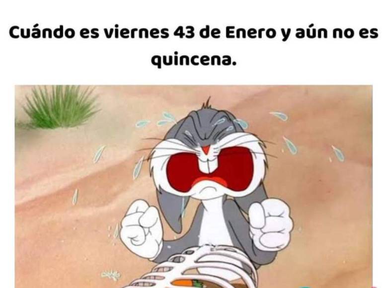 Hondureños se despiden del “árido e interminable” enero con memes