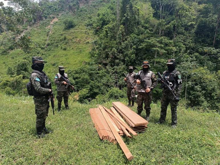 Invadidas, deforestadas o con cultivos prohibidos están varias zonas protegidas