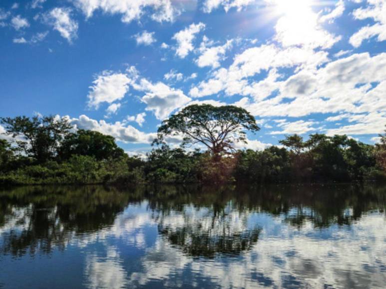 Comió gusanos y bebió su propia orina, así sobrevivió un boliviano durante un mes en la selva amazónica