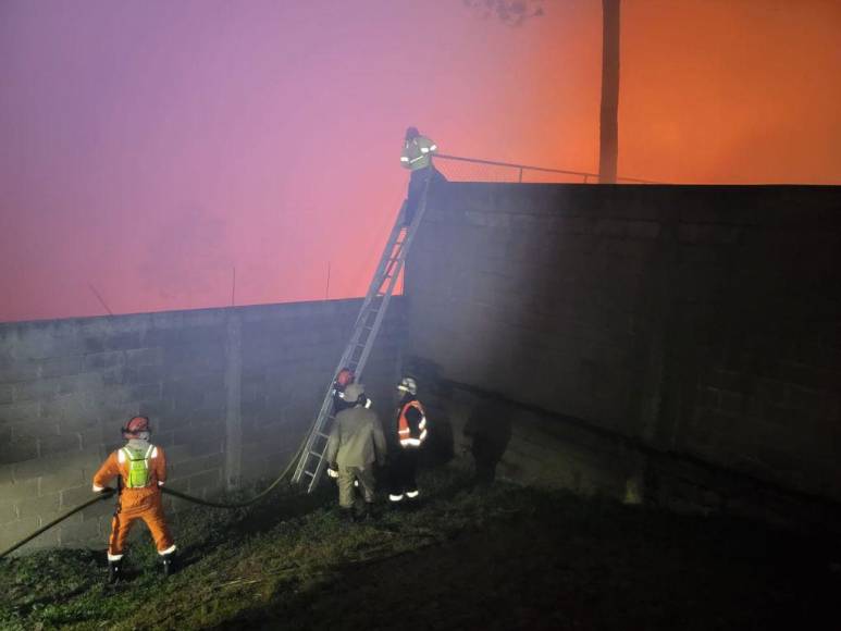 Impactantes imágenes del incendio forestal que se reactivó en cerro El Trigo